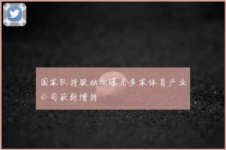 国家队持股动向曝光多家体育产业公司获新增持