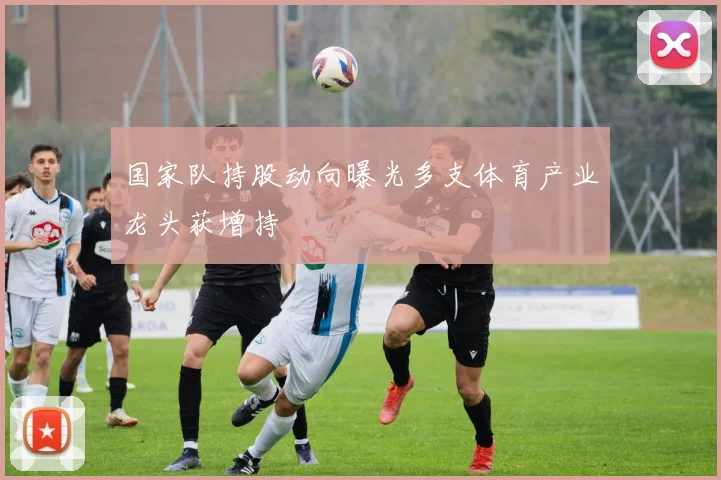 国家队持股动向曝光多支体育产业龙头获增持